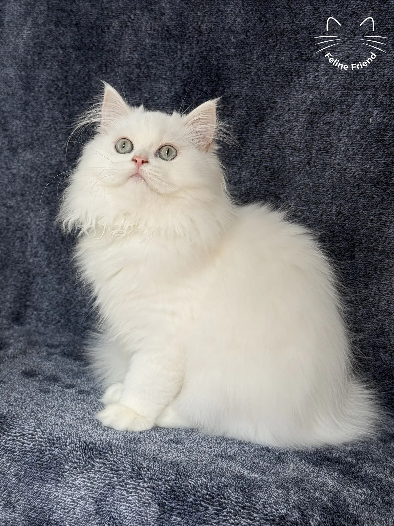 Cloud