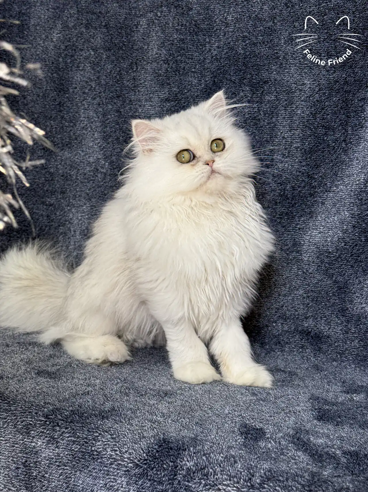 Rosie